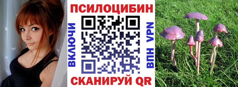 Псилоцибиновые грибы Magic Shrooms  Купить  Иркутск 
