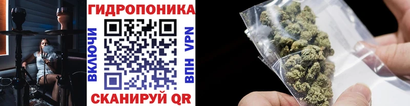 Купить закладки  Иркутск  Шишки марихуана тримм 